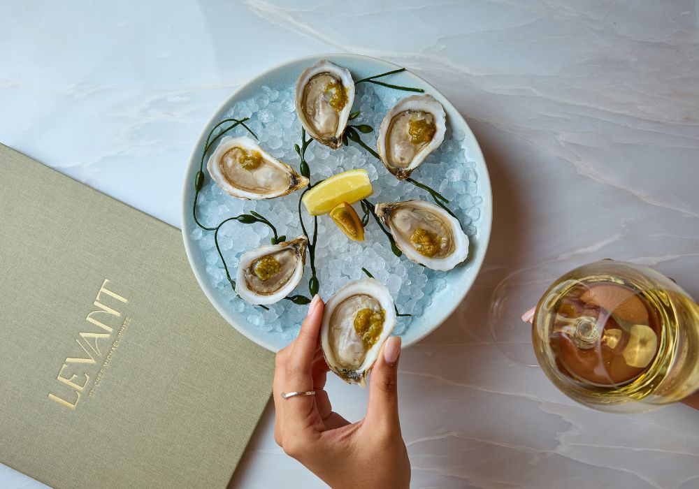View of oysters plate from above with Levant menu and glass of wine