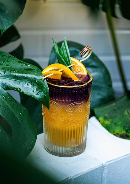 Cocktail