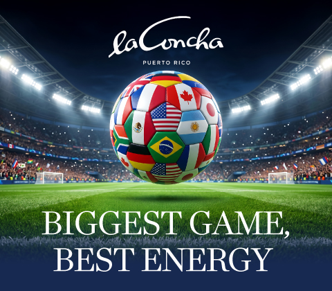 FIFA World Cup Final