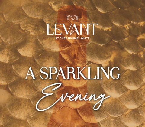 A Sparkling Evening