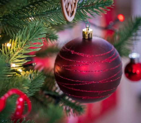 Tuna de Segreles Concert