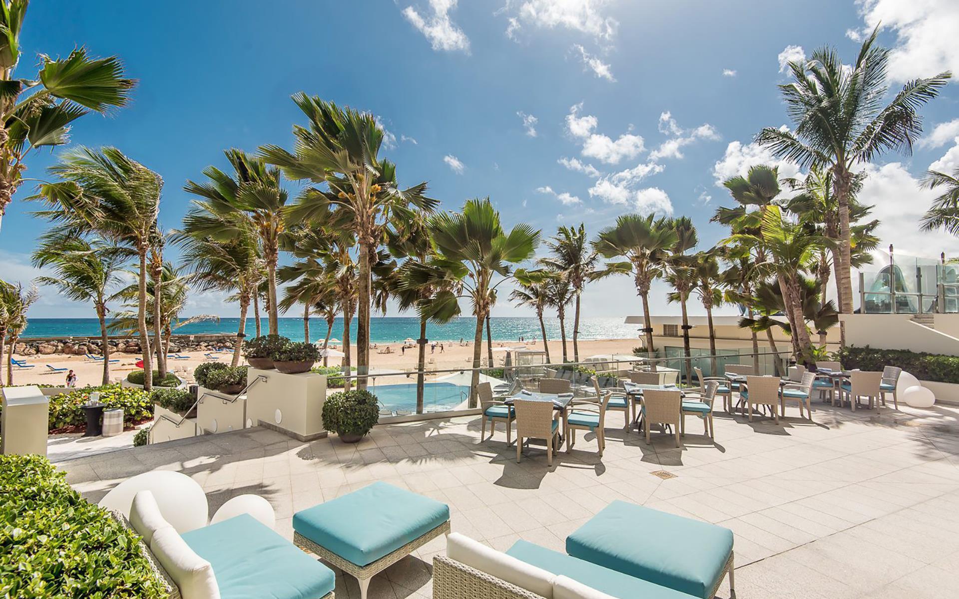 Poolside view of palm trees