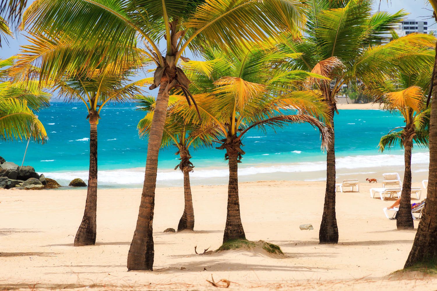 Beach, Please! You Won’t Want to Miss These Top Three Beaches in Puerto